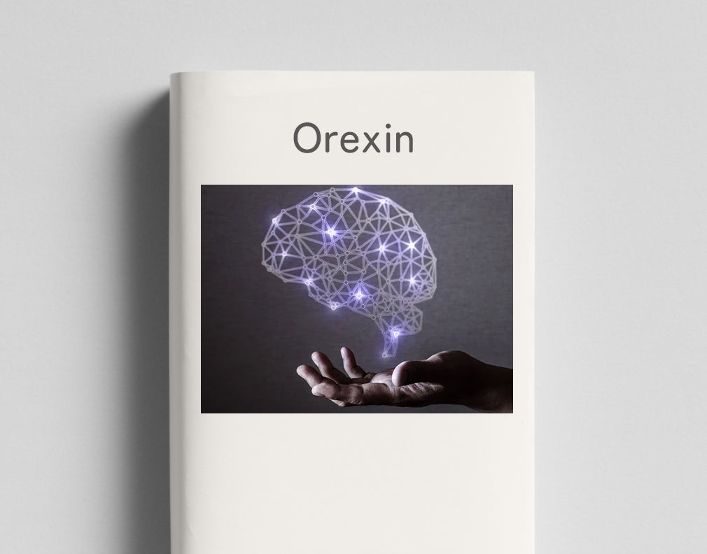 睡眠と覚醒のメカニズム ~ホルモン【オレキシン】と眠気の関係~