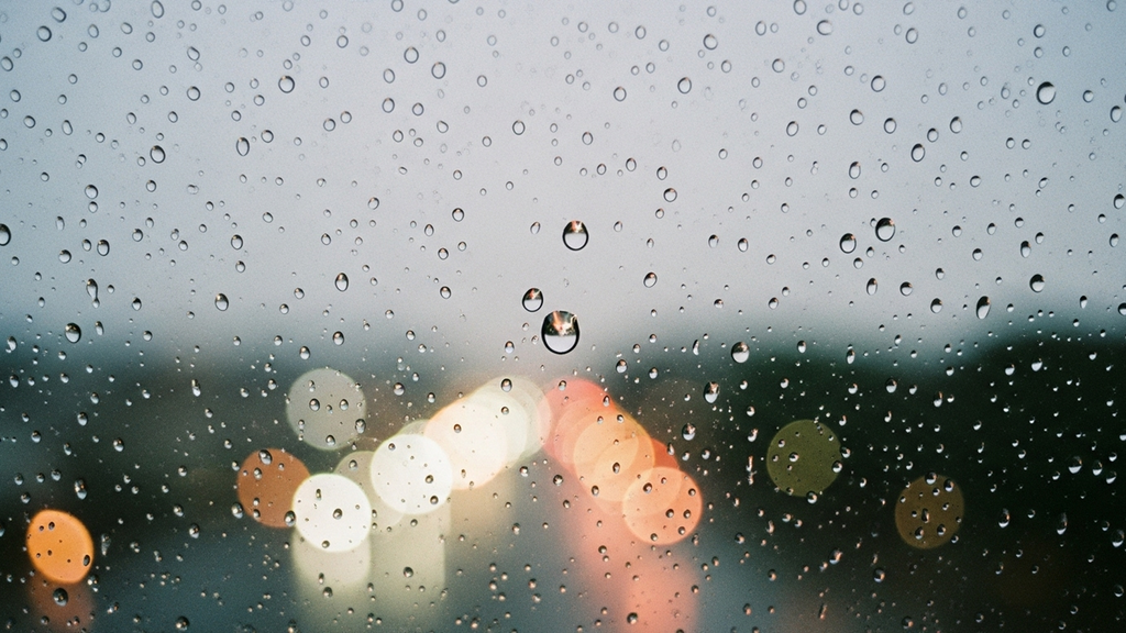 【夏バテ対策】自然音に癒やされるのはなぜ?|雨音や森の音を含む音楽でリフレッシュ