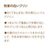 Bocca Pudding Sampler (3)