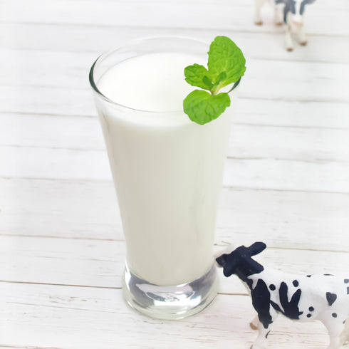 Bocca Drinking Yogurt & Lassi Set A