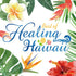BEST OF HEALING HAWAII(2CD)