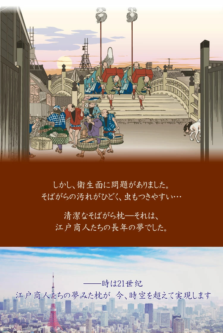 まくら(株) そば夢物語~江戸商人が夢見た最高品質のそばがら枕~