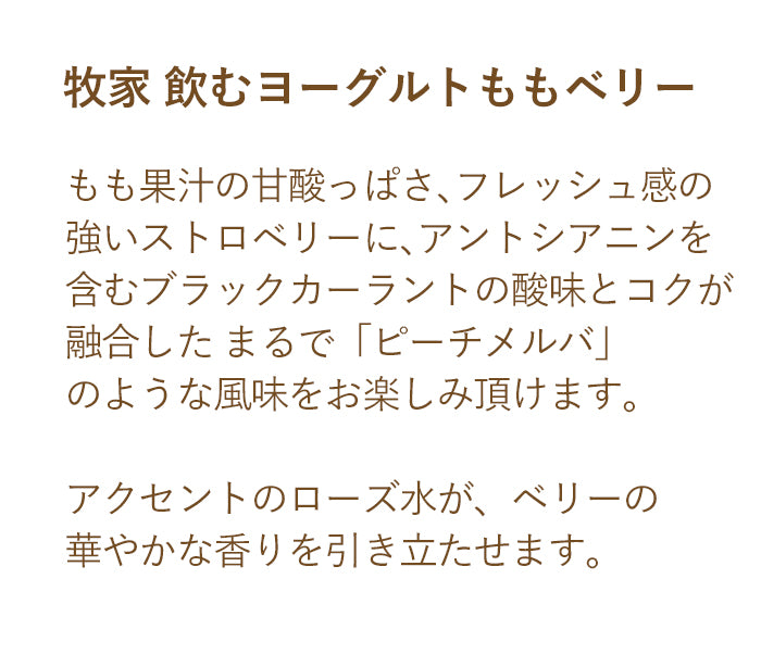 Bocca 飲むヨーグルト＆ラッシーセットA